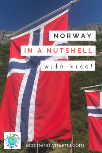 Norway In A Nutshell With Kids