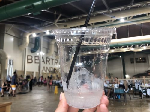 Bear Track Landing compostable drink cup