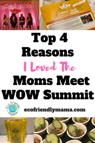 Moms Meet WOW Summit