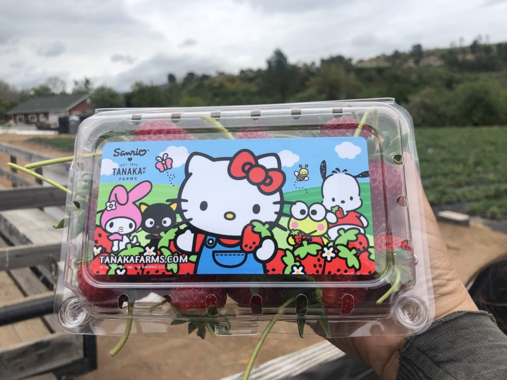 Hello Kitty strawberry picking