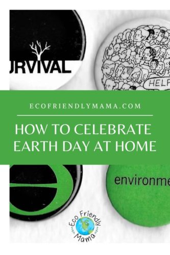 How To Celebrate Earth Day At Home PIN