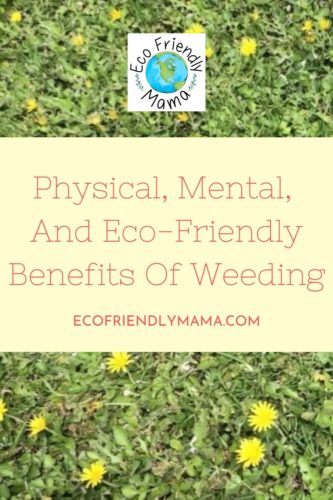 Physical, Mental, And Eco-Friendly Benefits Of Weeding PIN
