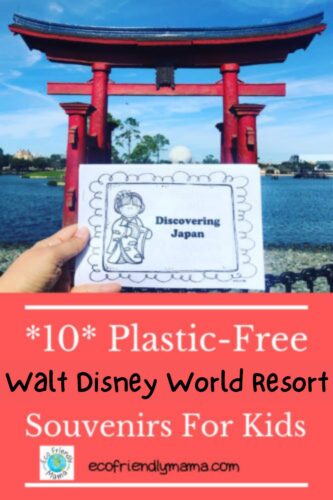 plastic-free walt disney world resort souvenirs